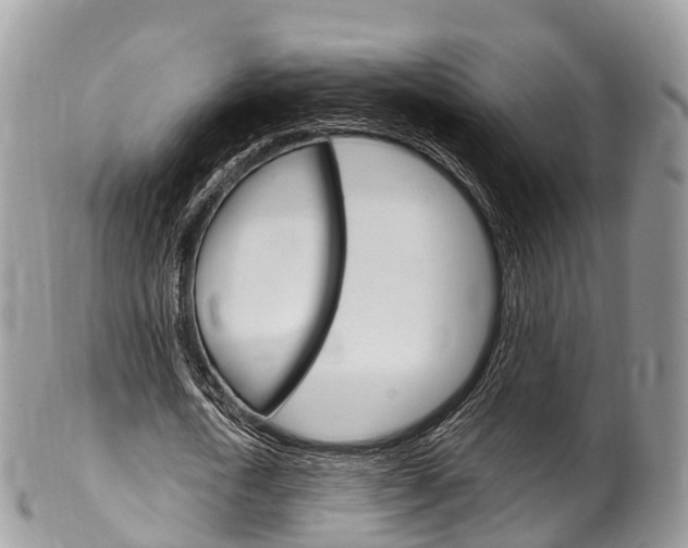 X0000102790722200808180953