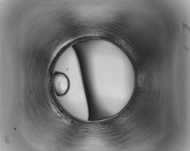 X0000102790724200808180953
