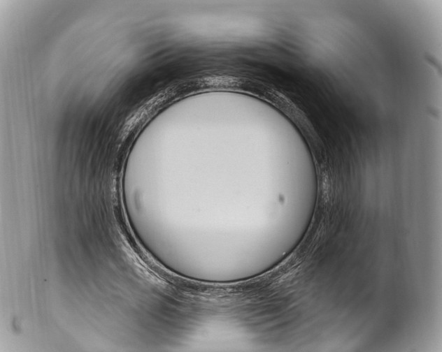 X0000102790725200808180953