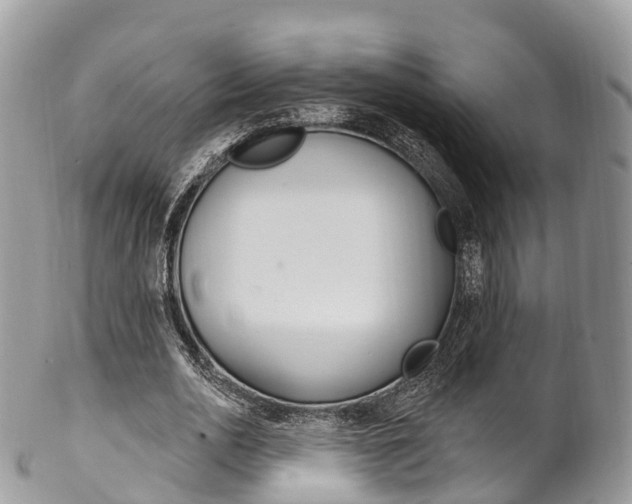 X0000102790726200808180953