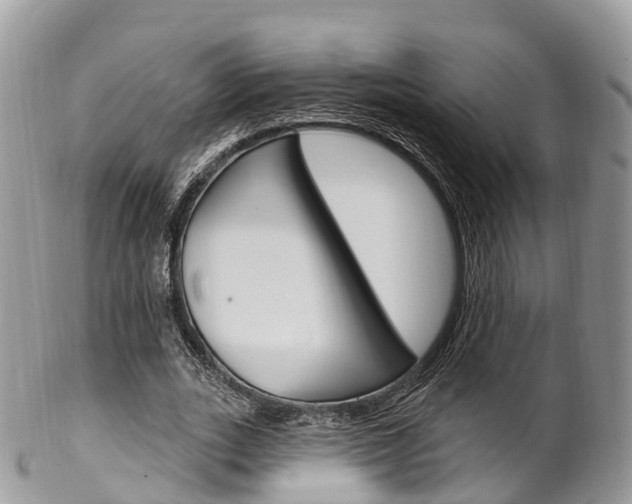 X0000102790727200808180953