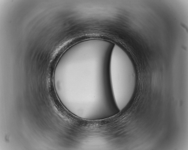 X0000102790728200808180953
