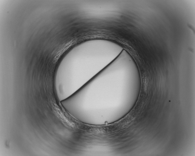 X0000102790729200808180953