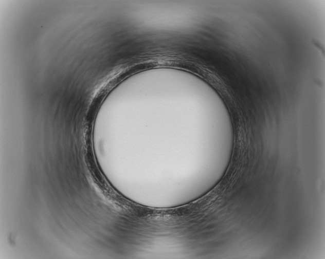 X0000102790730200808180953