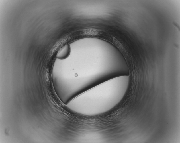 X0000102790731200808180953