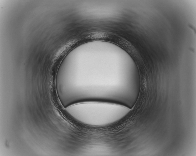 X0000102790732200808180953