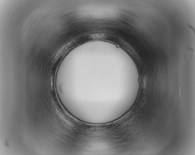 X0000102790733200808180953