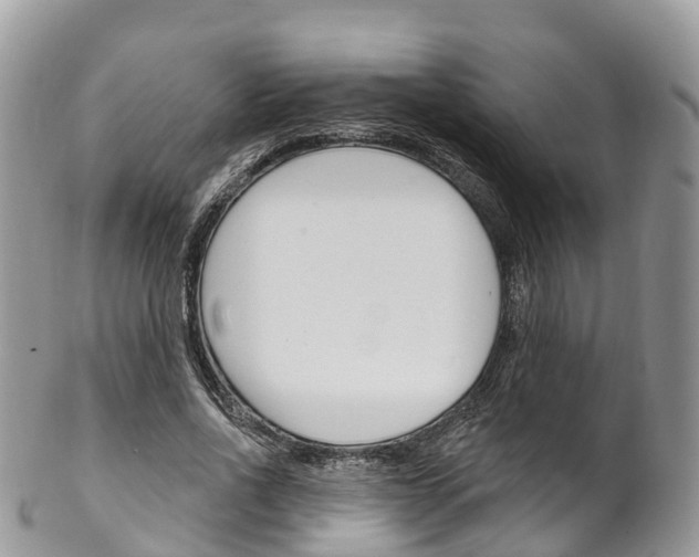 X0000102790734200808180953