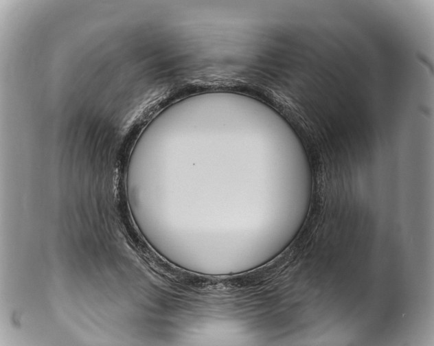 X0000102790735200808180953