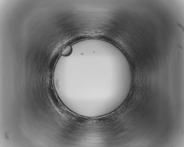 X0000102790736200808180953