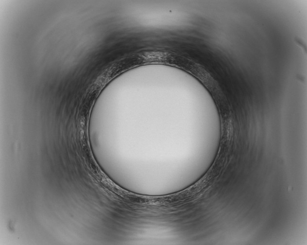X0000102790737200808180953