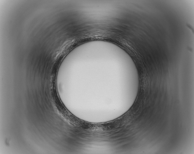 X0000102790738200808180953