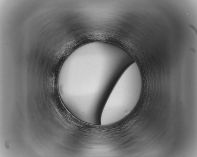 X0000102790739200808180953