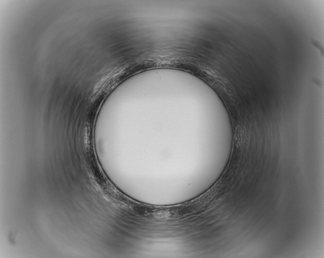 X0000102790740200808180953