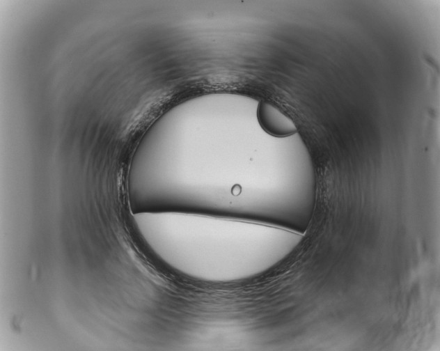 X0000102790742200808180953