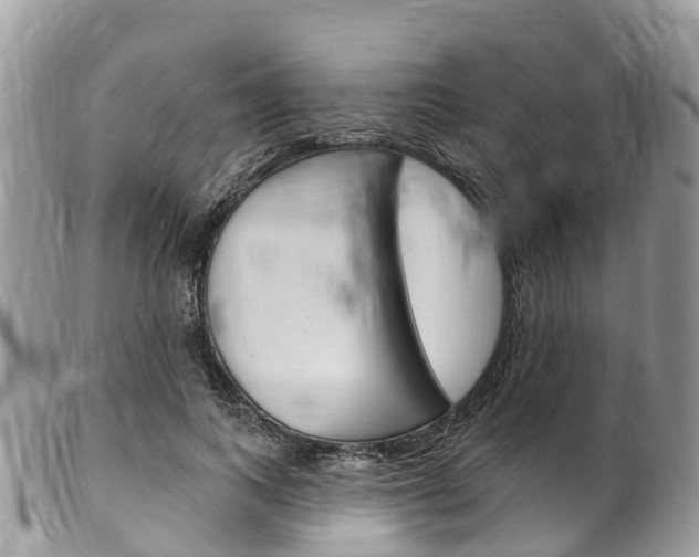 X0000102790743200808180953