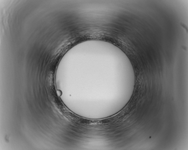 X0000102790744200808180953