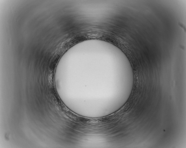 X0000102790745200808180953