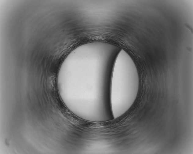 X0000102790747200808180953