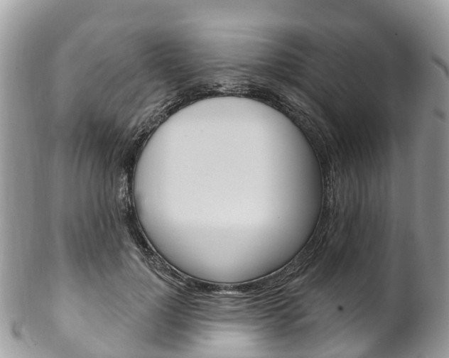 X0000102790748200808180953