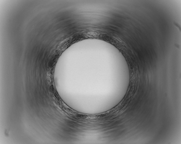 X0000102790749200808180953