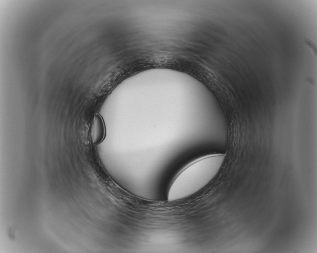 X0000102790750200808180953