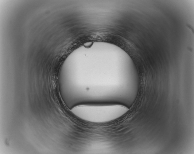 X0000102790751200808180953