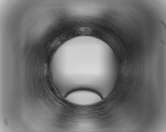 X0000102790752200808180953