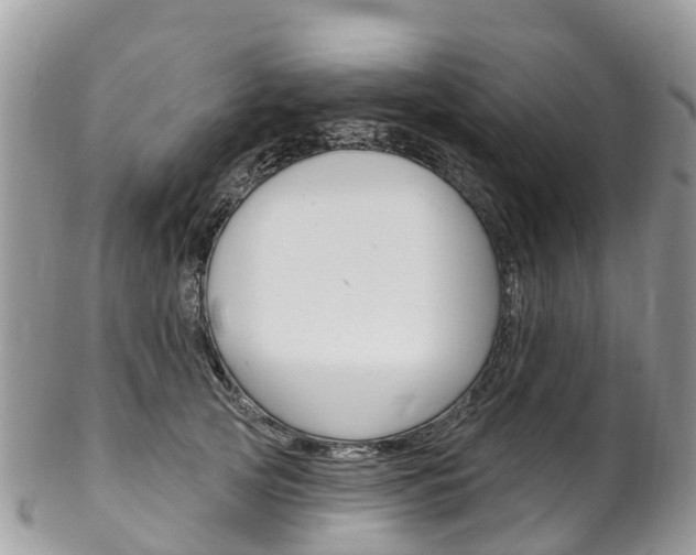 X0000102790753200808180953