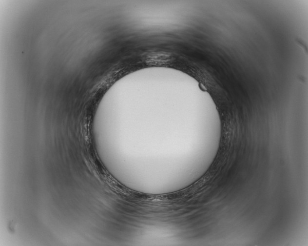 X0000102790755200808180953