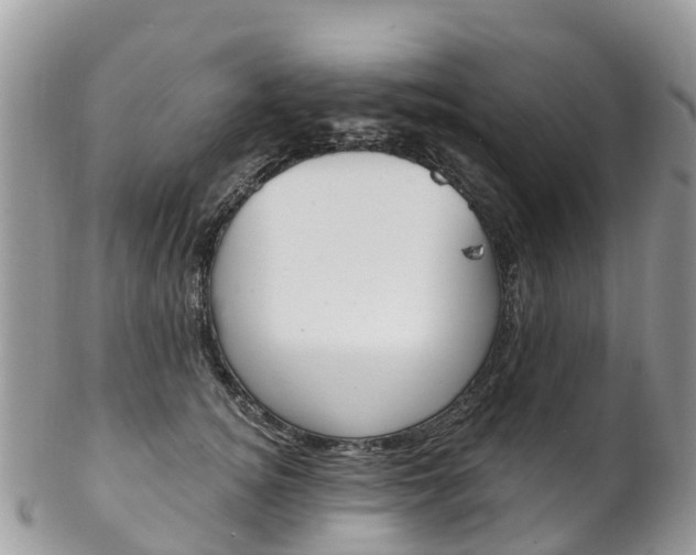 X0000102790756200808180953
