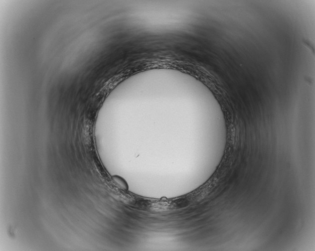 X0000102790757200808180953