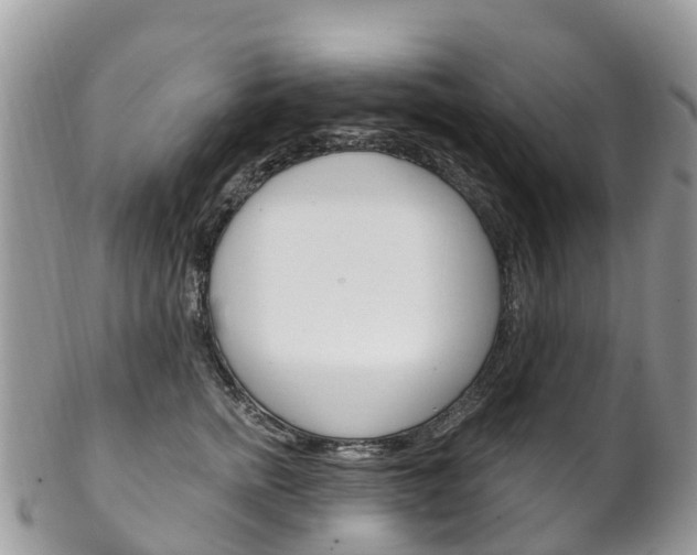 X0000102790758200808180953