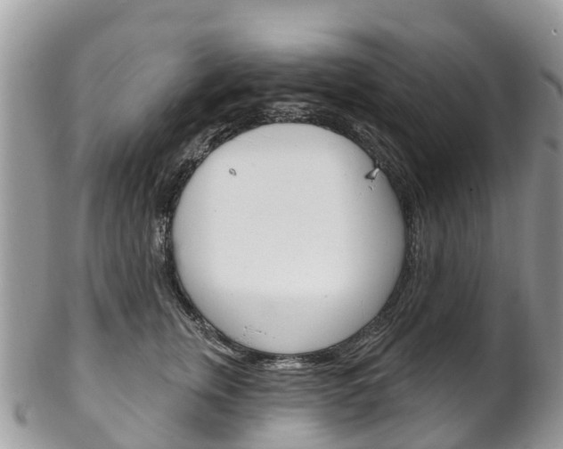 X0000102790759200808180953