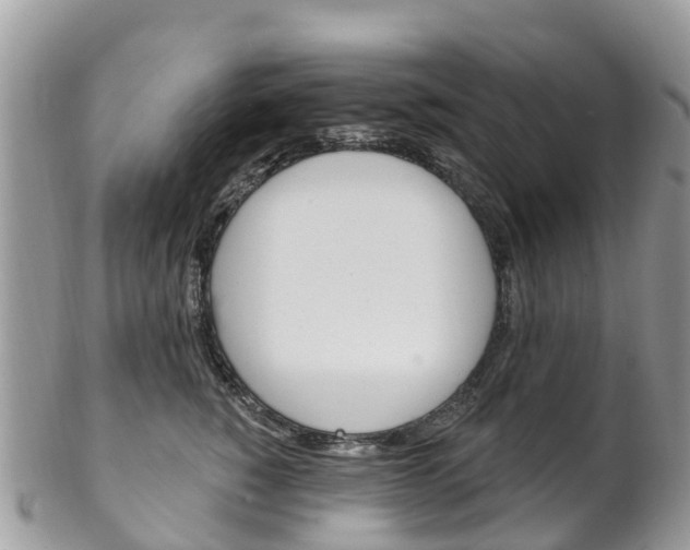 X0000102790760200808180953