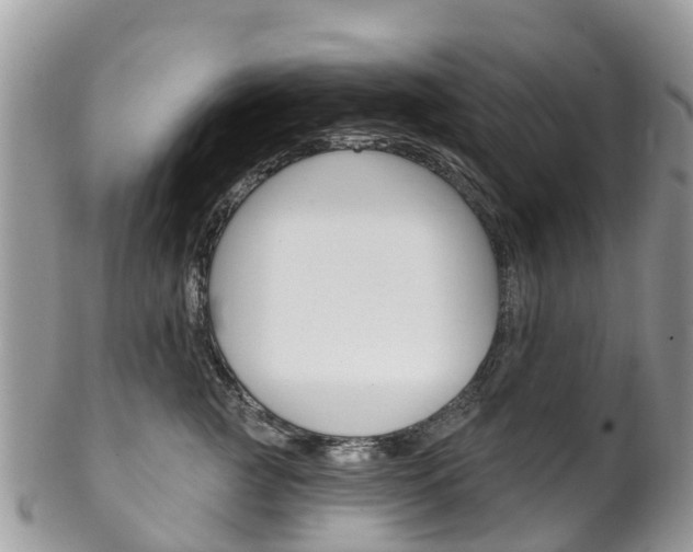 X0000102790761200808180953