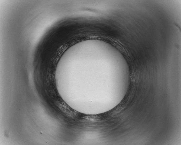 X0000102790763200808180953