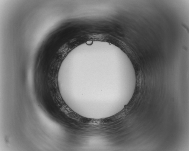 X0000102790764200808180953