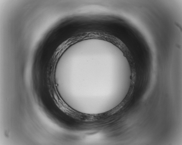 X0000102790765200808180953