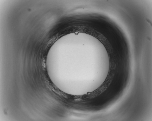 X0000102790766200808180953