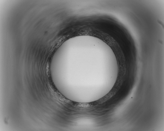 X0000102790767200808180953