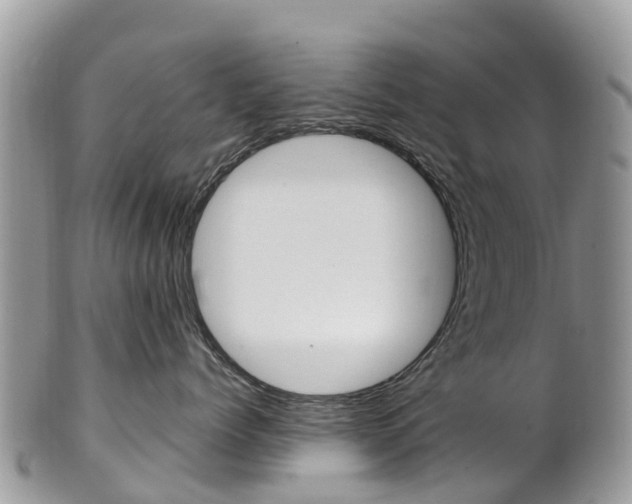 X0000102790768200808180953
