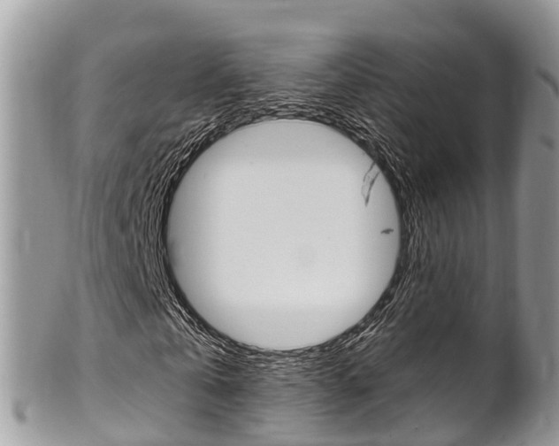 X0000102790769200808180953