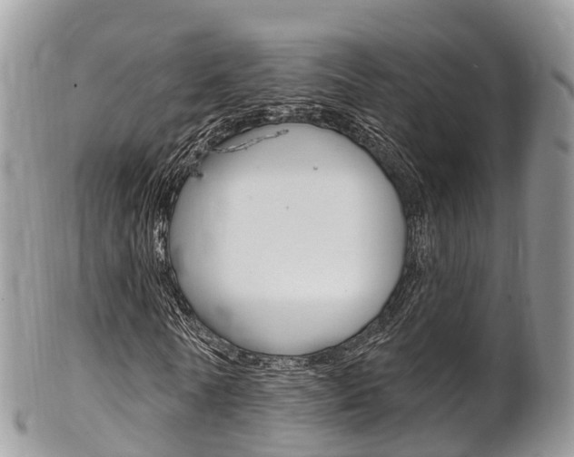 X0000102790770200808180953