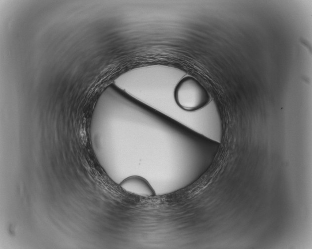 X0000102790771200808180953