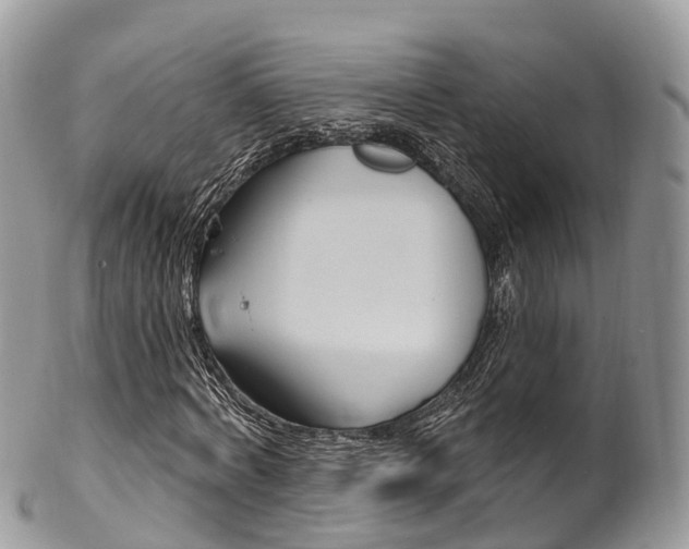 X0000102790772200808180953