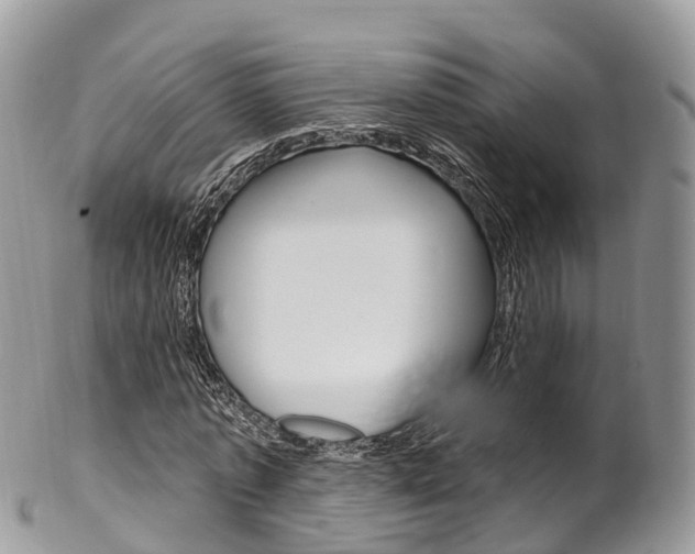 X0000102790773200808180953