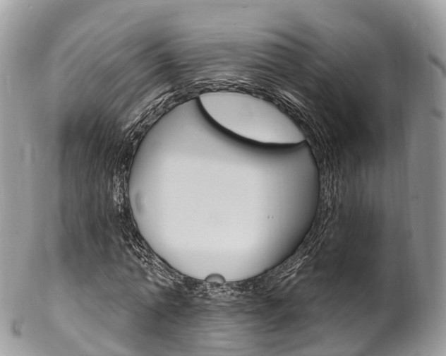 X0000102790774200808180953