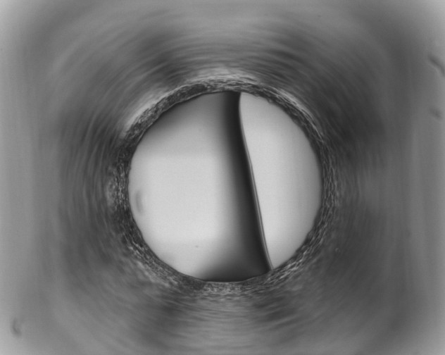 X0000102790775200808180953