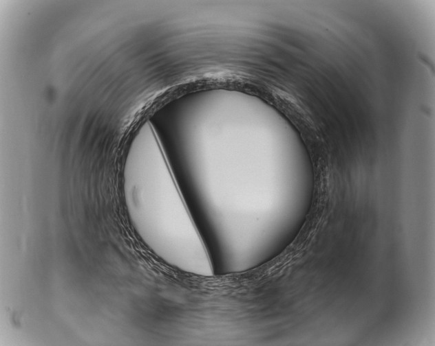 X0000102790776200808180953